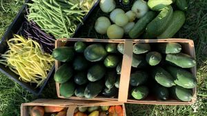 Beautiful historic 13-acre veggie and livestock farm near Buffalo, NY growing heirlooms