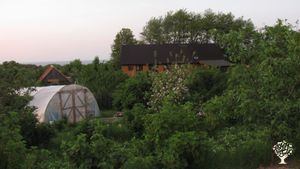The garden 2019