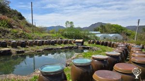 "Help Wanted" <GG137> 자연그대로 / As It Is in Nature