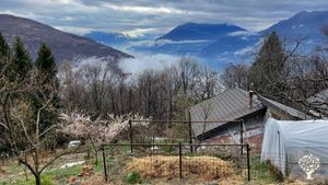 Fattoria di famiglia