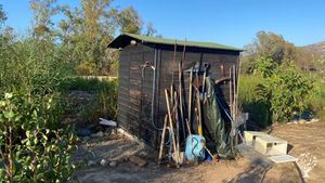 Aromatic and Medicinal herbs organic Farm