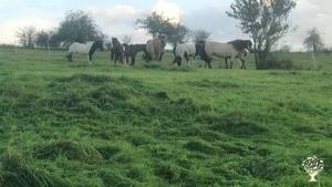 Family,Farm&Animals,Nature