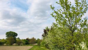 Agroforestazione, agricoltura rigenerativa, eventi e ospitalità in agriturismo