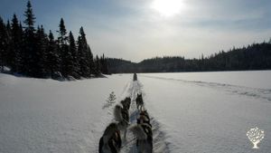 Auberge éco-touristique / Aventures de plein air