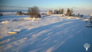 A Family Farm Since 1650: Growing Vegetables and Sharing Knowledge on Latitude 63