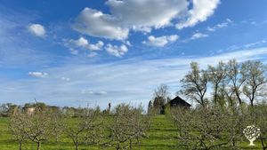 Leonpolio dvaras is an old manor with long farming traditions and nice gardens.