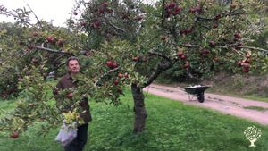 Heritage orchard and small farm