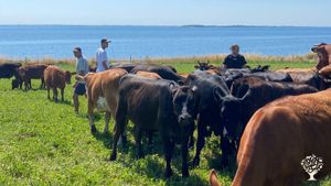 Organic/Biodynamic mixed farm on a tiny danish island. Join us in working on Bjørnø