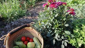 Garden happiness