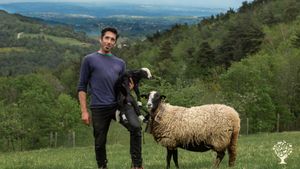 Ferme biologique brebis viande et pépinière d'arbres fruitiers