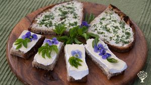 Agritourism Destination, Smallholding, Eco Lodge/Wilderness Adventures