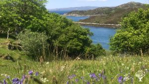Scottish Highland Croft with organic growing tunnel