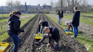 Biologisch dynamisch akkerbouwbedrijf, groentetuin, groentewinkel, dagbesteding