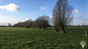 Ferme Laitière biologique en plein-air intégral