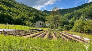 Organic Vegetable farm using permaculture and regenerative agriculture principles