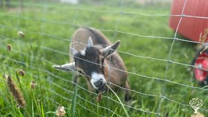 Dreiseitenhof in Sachsen