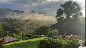 Organic farm Mountain, 30 min. from Sosua. 400k Meter.  Producing Fruit,Veg. Prefer Spanish speakers