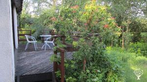 Traditional planted garden and woodland. Two small ponds.  Wildlife.  Wildflowers. Vegetable beds.