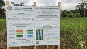 Nous produisons et utilisons des ressources végétales pour réhabiliter des sols pollués