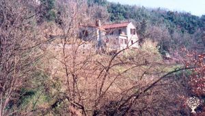 Maison centrale en pleine montagne près d'une rivière sauvage.