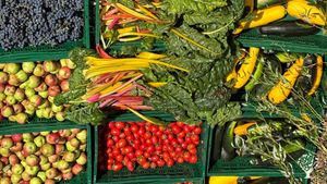 Eco-farming with love & devotion towards self-sufficiency