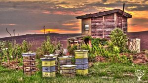 Community permaculture project and educational centre. Family homestead
