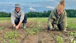 Biobauernhof im schönen Reippersberg