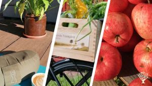 Homestead, Market Garden, Family farm, garden store