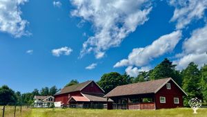 Organic farm on the west coast island Orust, Sweden.