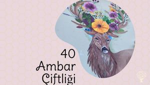 Smallholding, Vineyard, Mixed Farm, Farm, Family farm