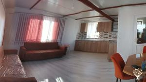 Family home and garden - rural, Homestead, Cattle Ranch, Fruit tree nursery, Orchard, Farm