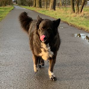 Ulrike