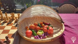 Smallholding,organic vegetable garden  with a café, apple juice production, eggs and poultry.