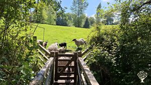 Sustainable smallholding in East Devon