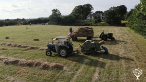 Jedes Jahr steht die Heuernte an