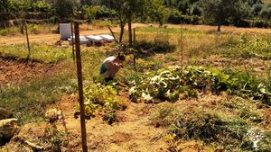 tuin van 2000M2