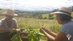 Ferme les Bouygasses                                                         vivre et travailler ici
