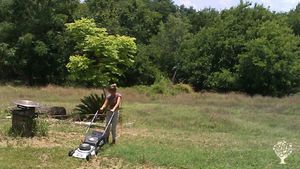 Grounds maintenance is part of a Wwoofers duty