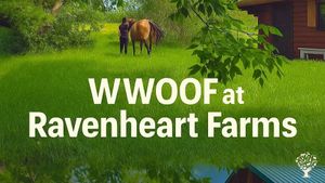 Equine-Facilitated Learning Centre and Retreat