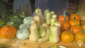 Alternative co-operative community