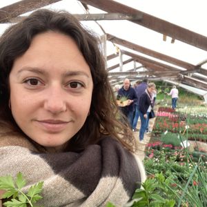 Elisa