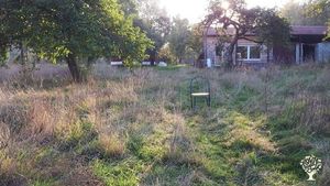Micro-ferme et habitat communautaire