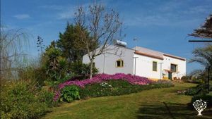 Propriété agricole bio de 40 hectares située dans les collines pres de Serpa.