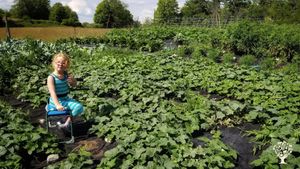 Family home and garden - rural, Market Garden, Mixed Farm, Farm, Family farm, CSA market garden