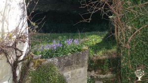 Ancien moulin à eau avec un très grand jardin à aménager