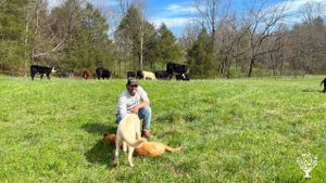 140+ acre regenerative farm raising beef, lamb, pork, chicken, duck, and turkey