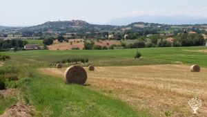 Presidio rurale, colline entroterra  maceratese