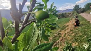 Comienza la primavera y el ciclo de la vida