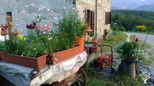Azienda agricola biologica nell'appennino mo