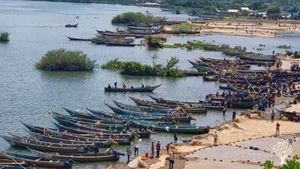 Lake Victoria shores views of the  the hundreds of canoes used for fishing anchored by the shores.
